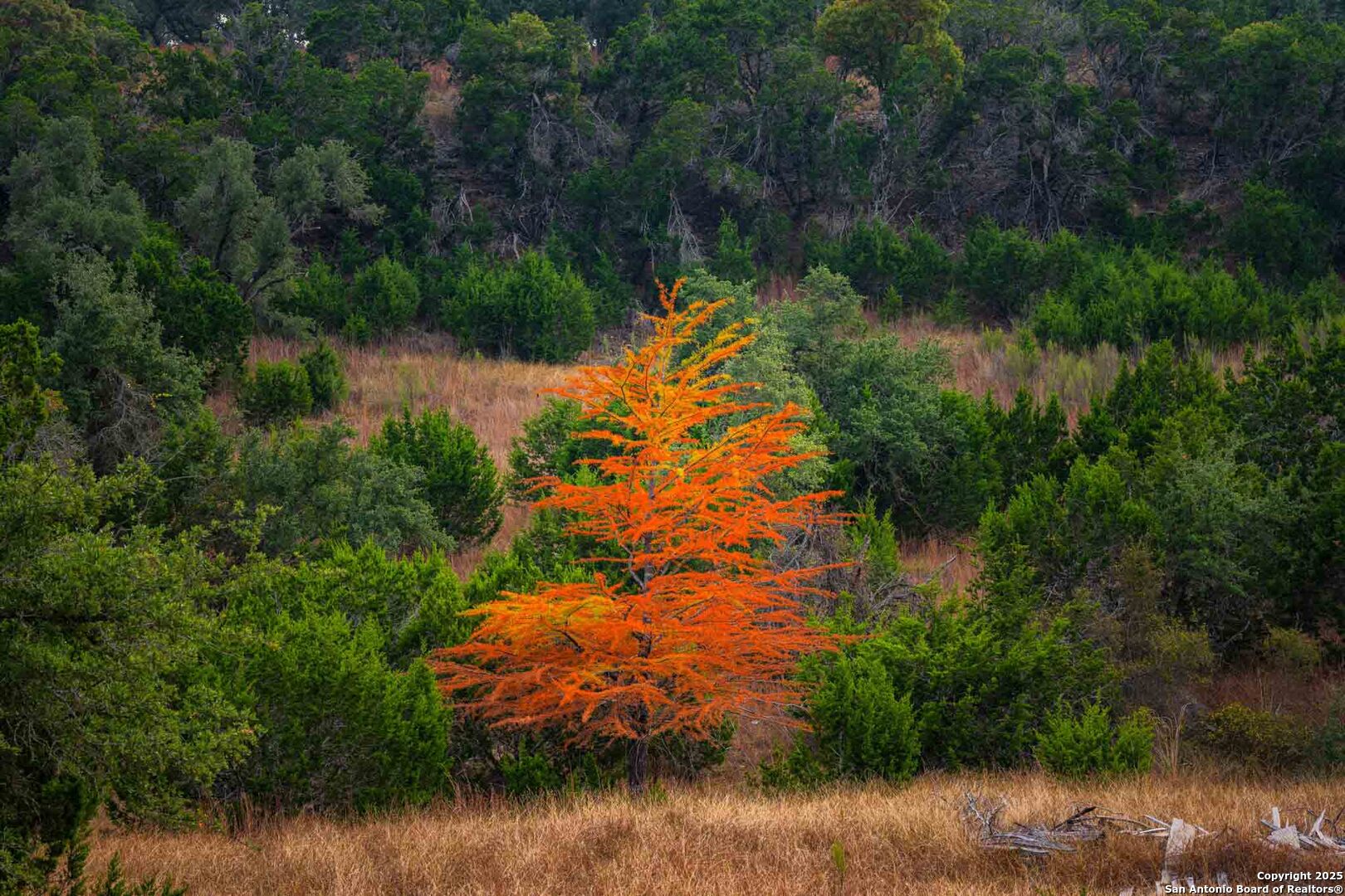 7625 N State Highway 16 Fredericksburg TX 78624