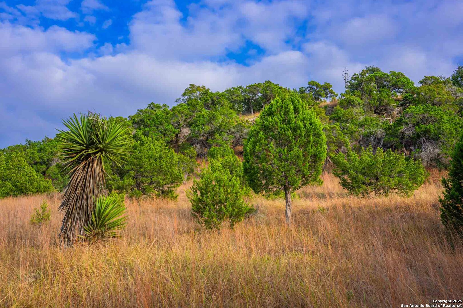 7625 N State Highway 16 Fredericksburg TX 78624