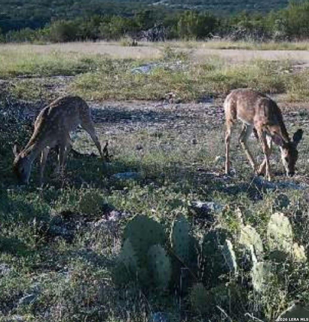 Tbd High Lonesome Comstock TX 78837