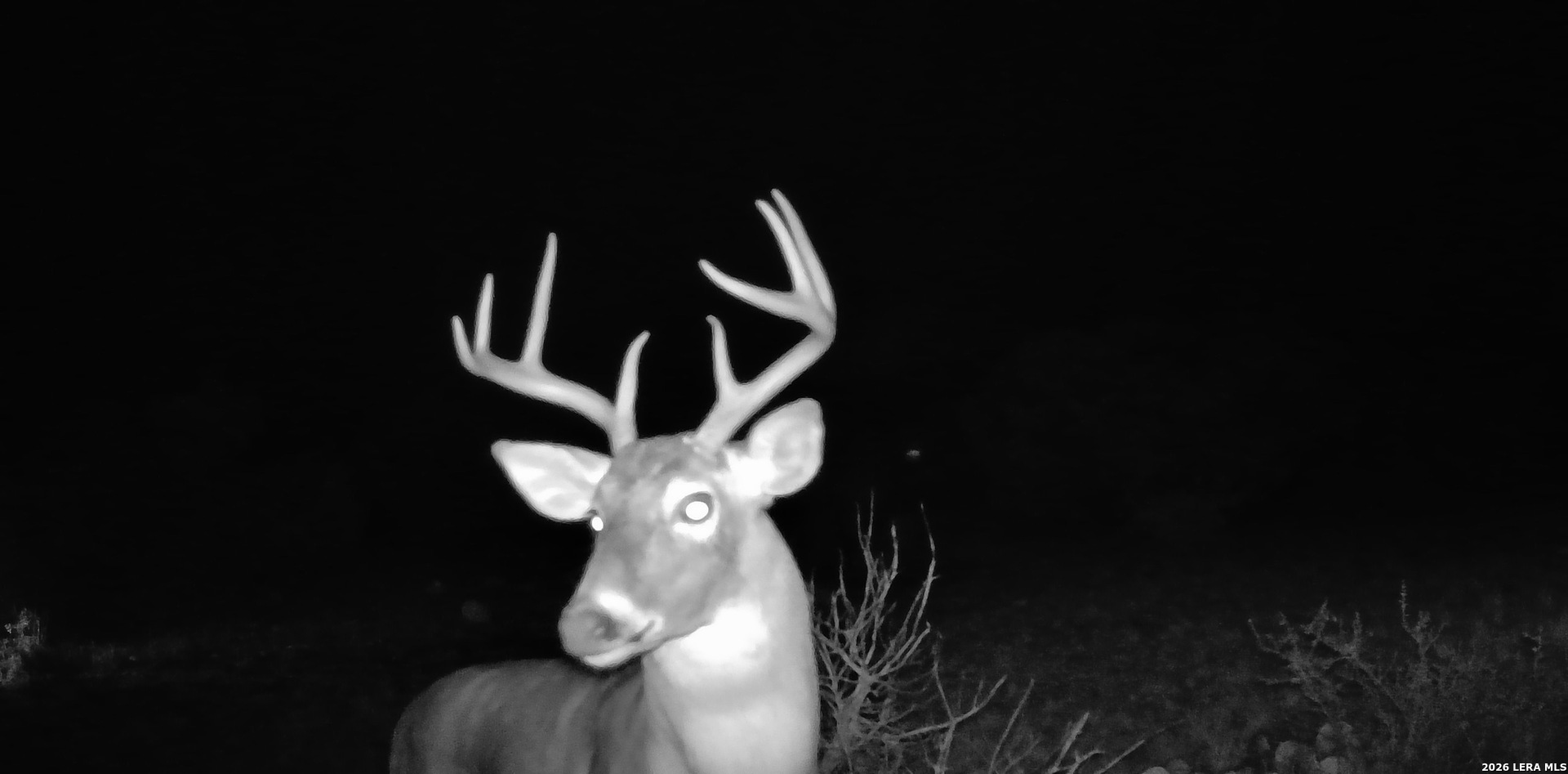 Tbd High Lonesome Comstock TX 78837