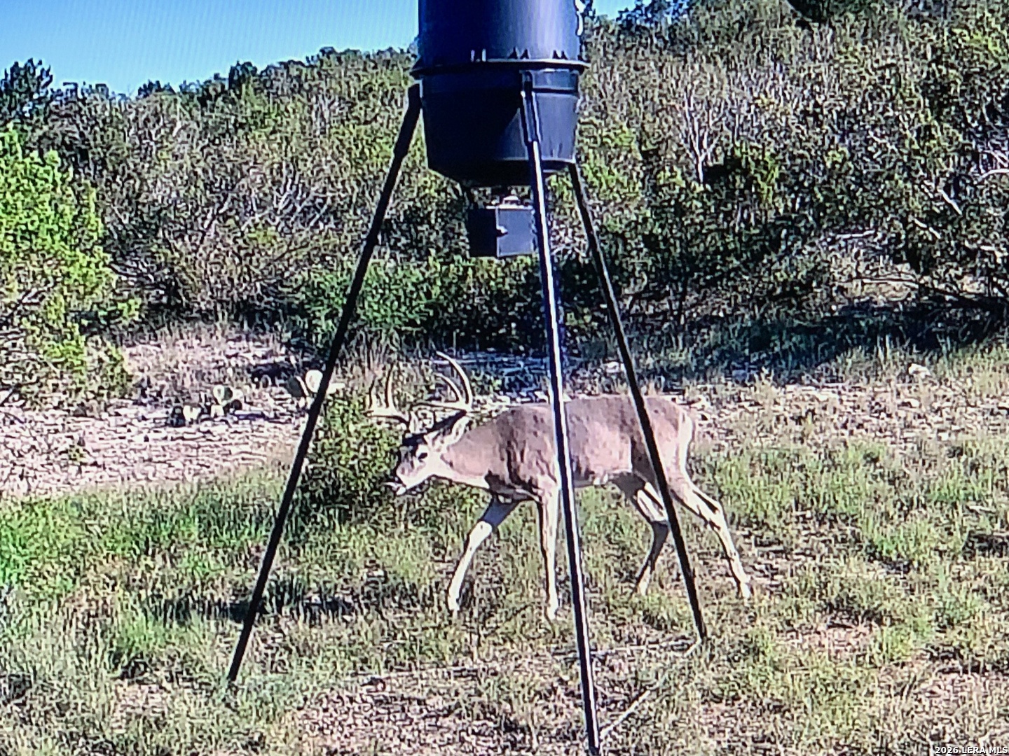 Tbd High Lonesome Comstock TX 78837