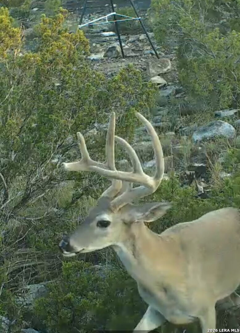 Tbd High Lonesome Comstock TX 78837