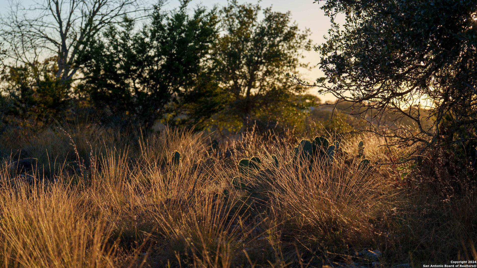 259 Lookout Point N Boerne TX 78013