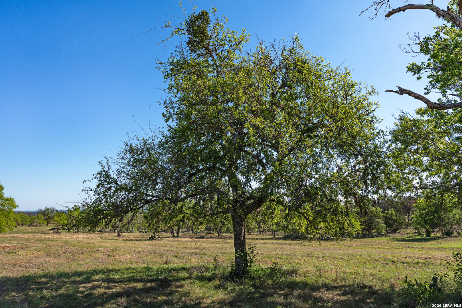 0018 Clearwater Comfort TX 78013
