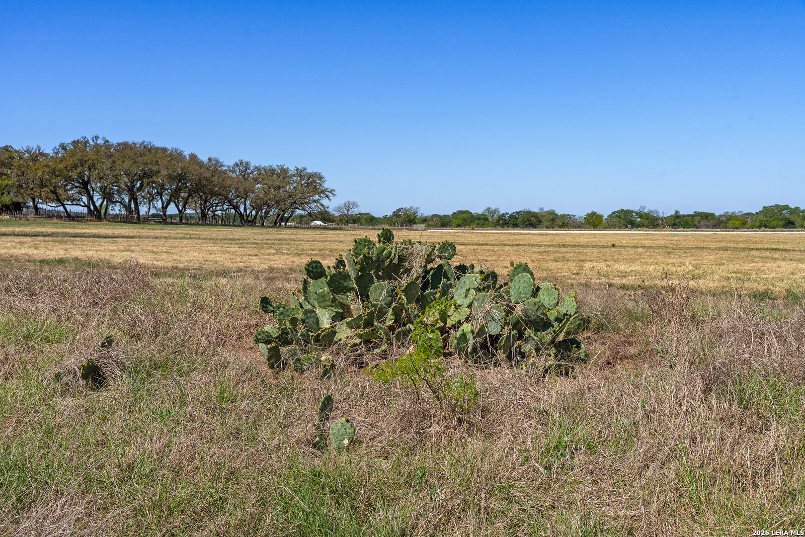 0010 Clearwater Comfort TX 78013
