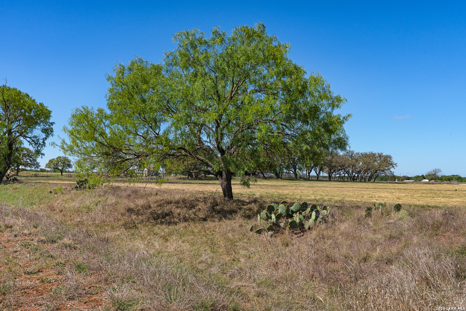 0010 Clearwater Comfort TX 78013