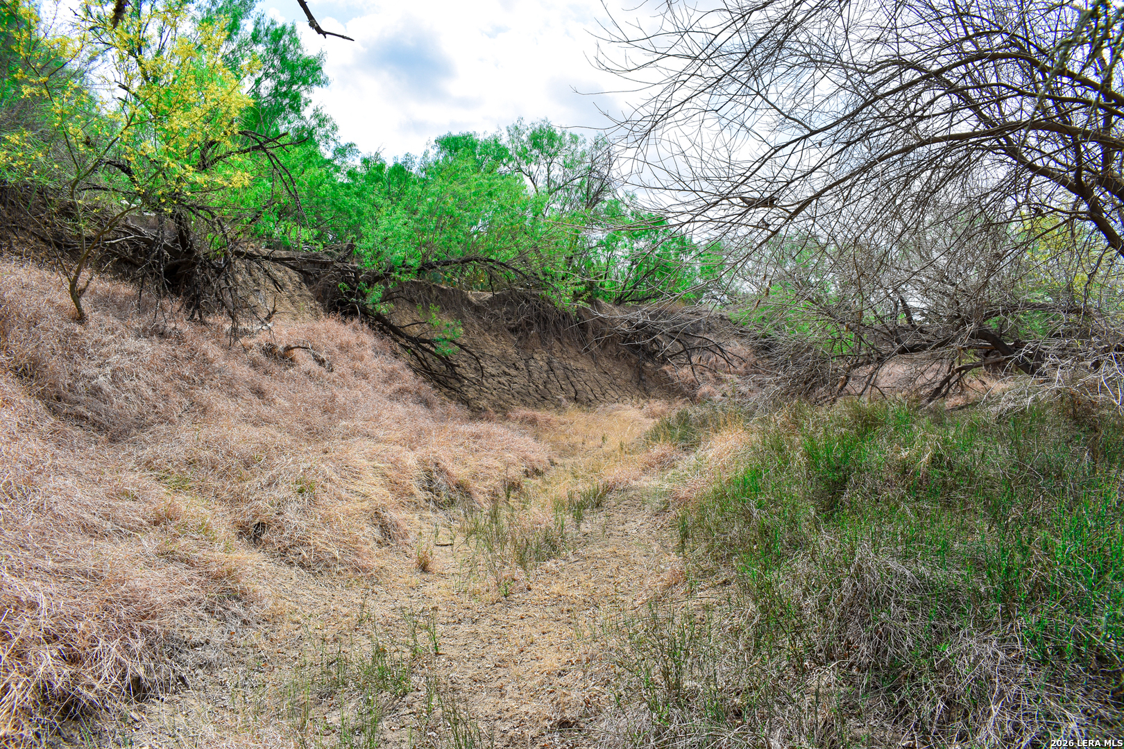 000 Koon Hill Road Fowlerton TX 78021