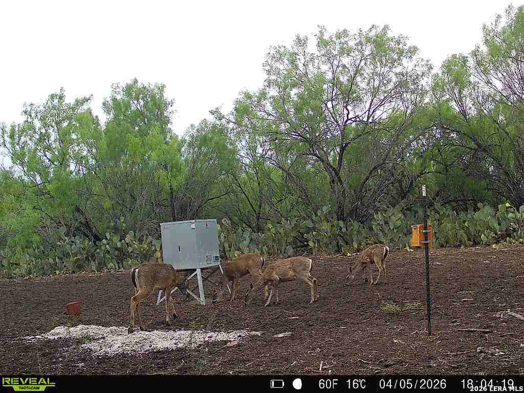 000 Koon Hill Road Fowlerton TX 78021