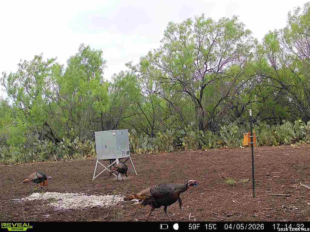 000 Koon Hill Road Fowlerton TX 78021