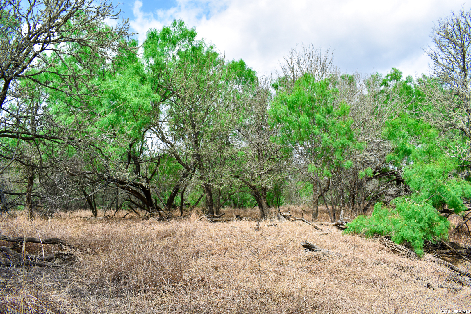 000 Koon Hill Road Fowlerton TX 78021