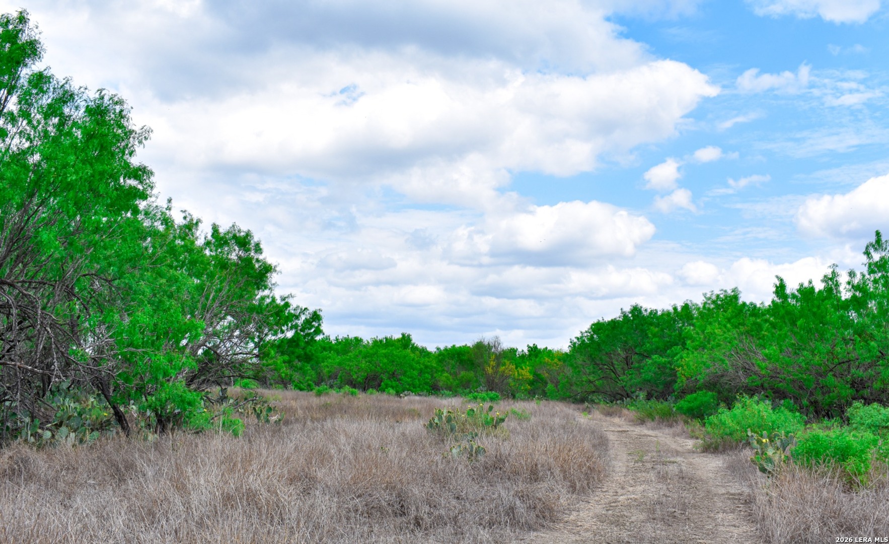 000 Koon Hill Road Fowlerton TX 78021