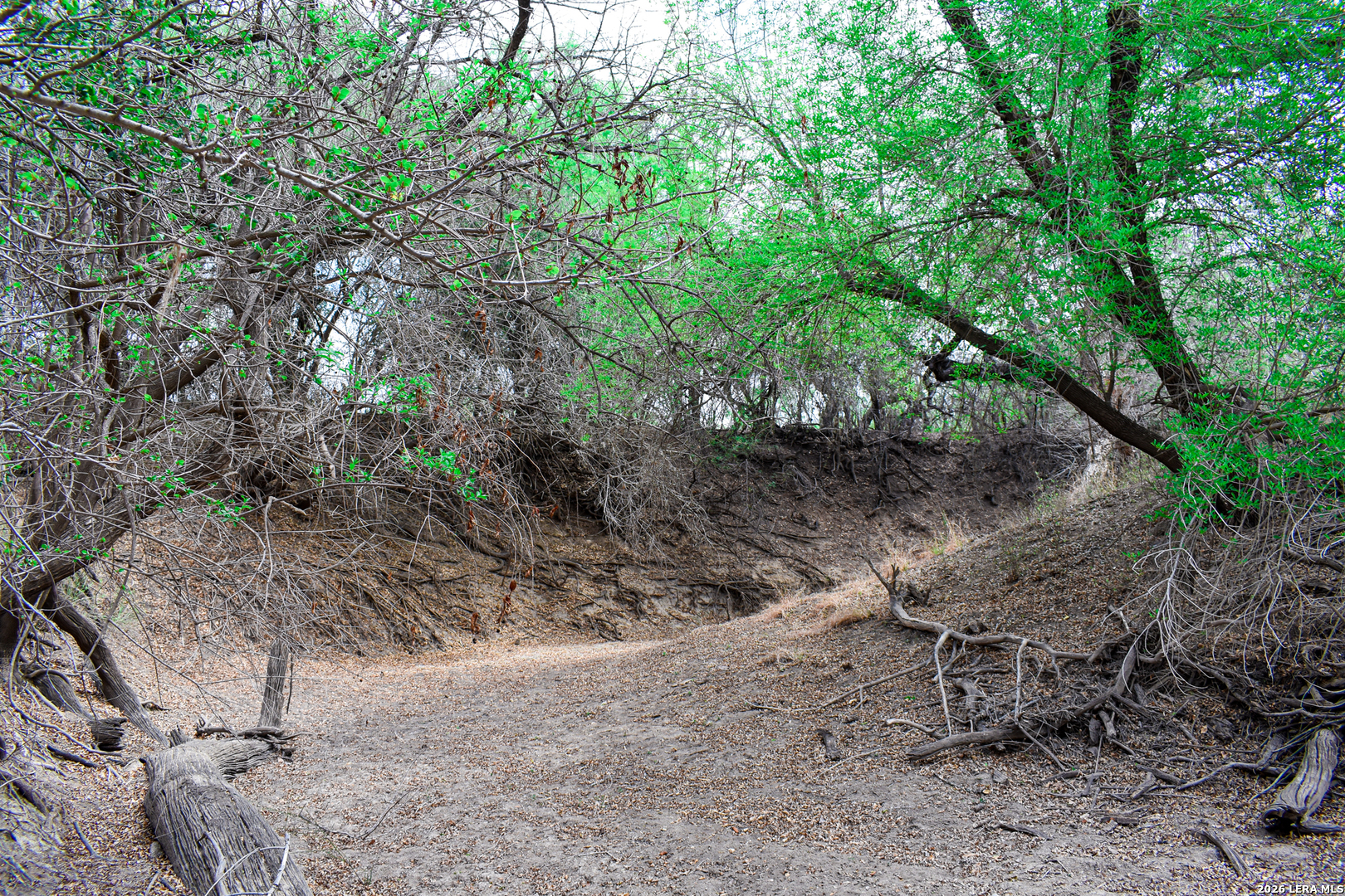 000 Koon Hill Road Fowlerton TX 78021