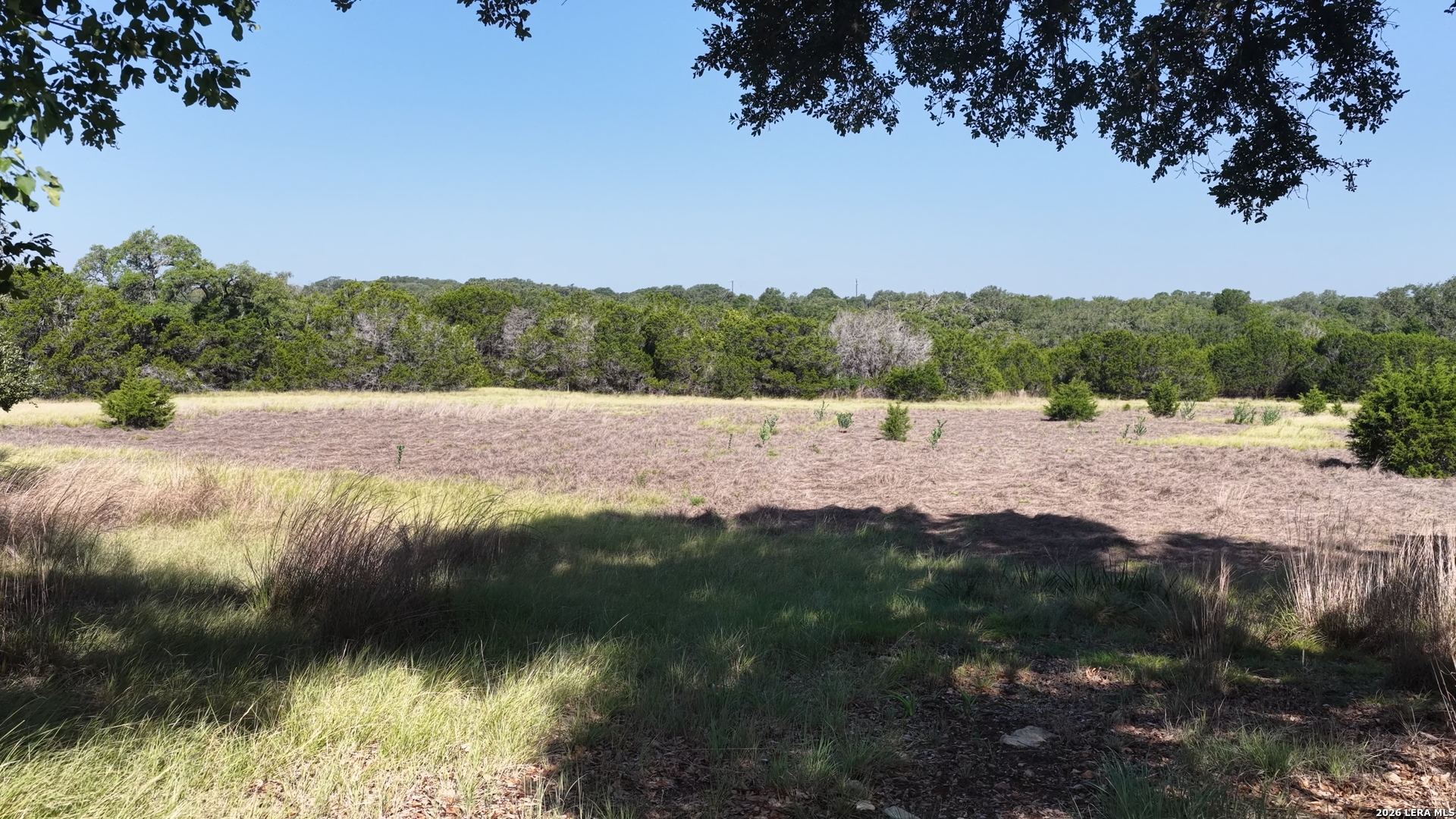 4113 Trainer Wuest Road Blanco TX 78606