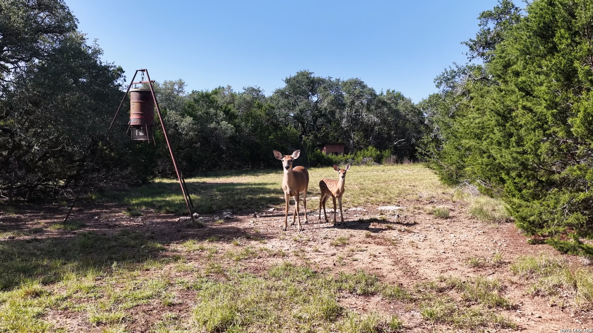 4113 Trainer Wuest Road Blanco TX 78606