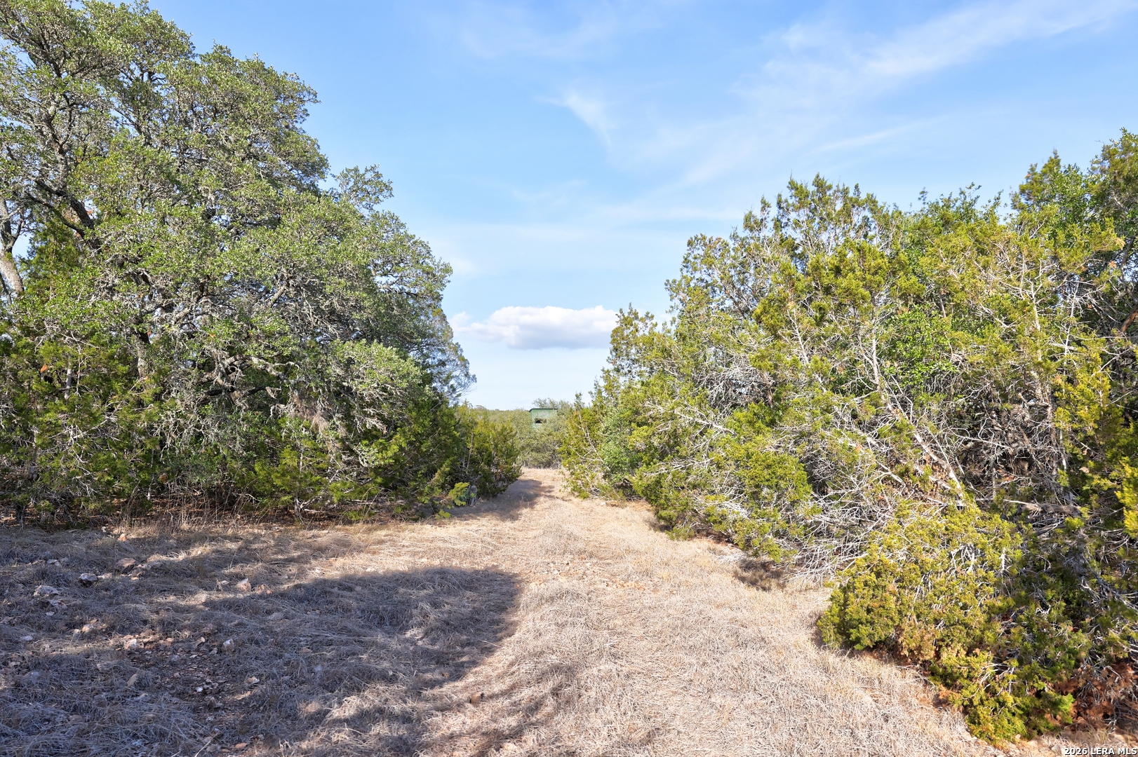 0 Yellowstone Lnsw Hunt TX 78024