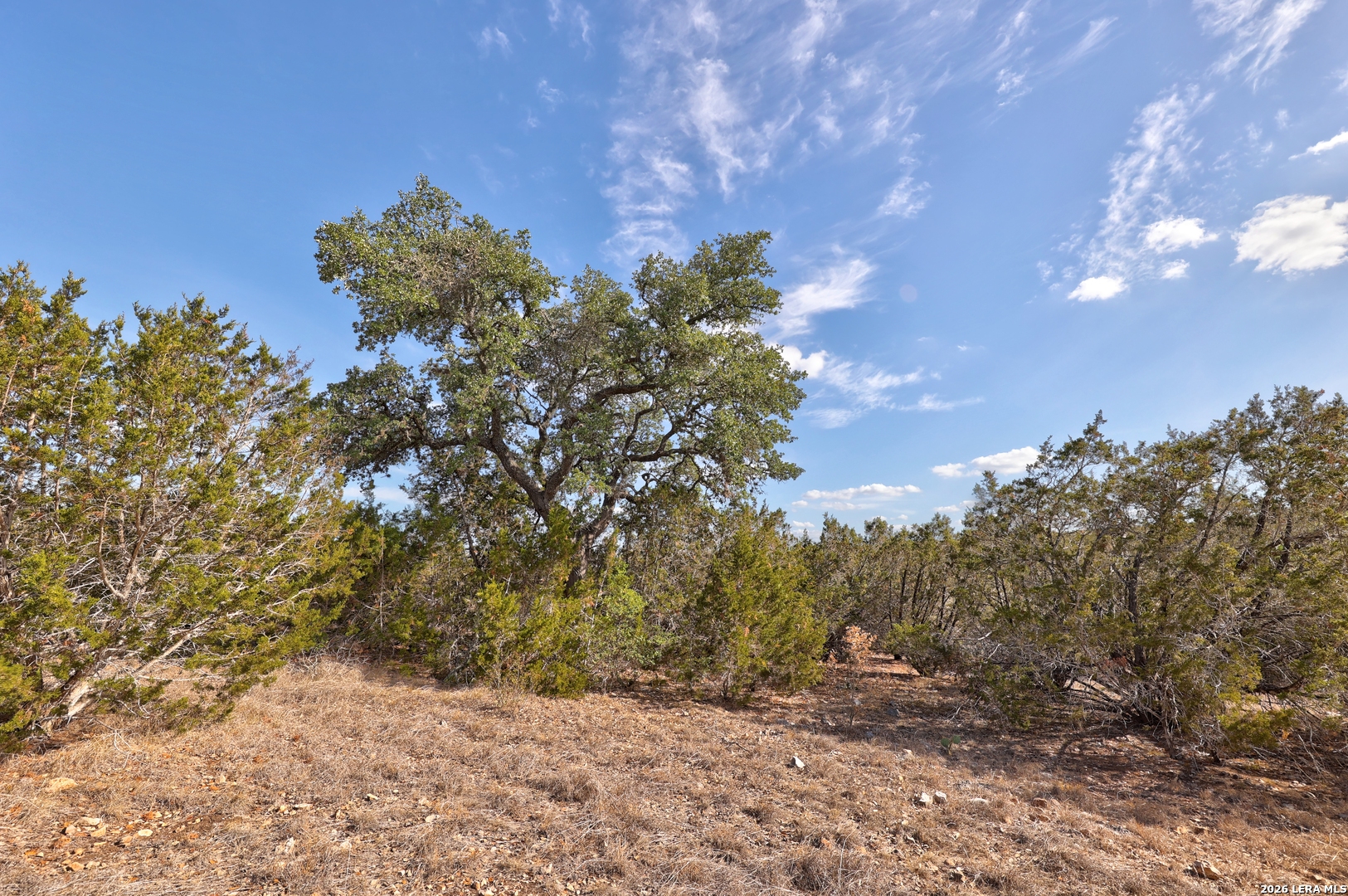 0 Yellowstone Lnsw Hunt TX 78024