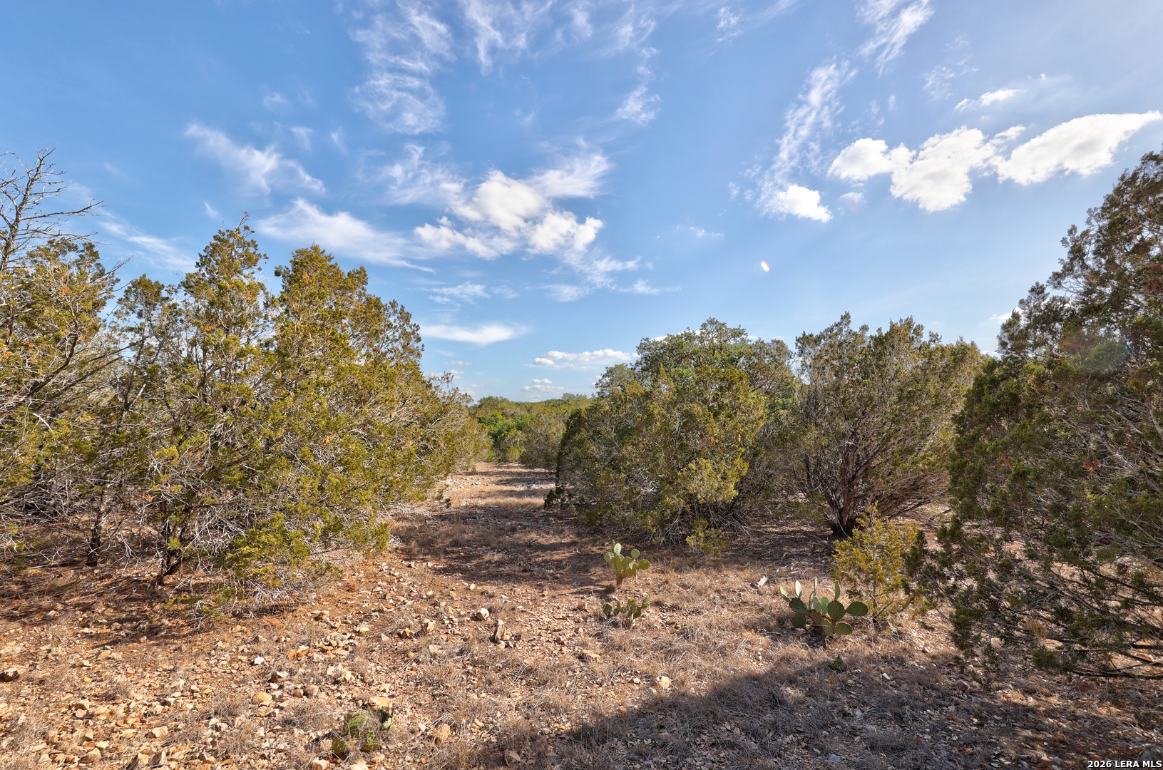 0 Yellowstone Lnsw Hunt TX 78024