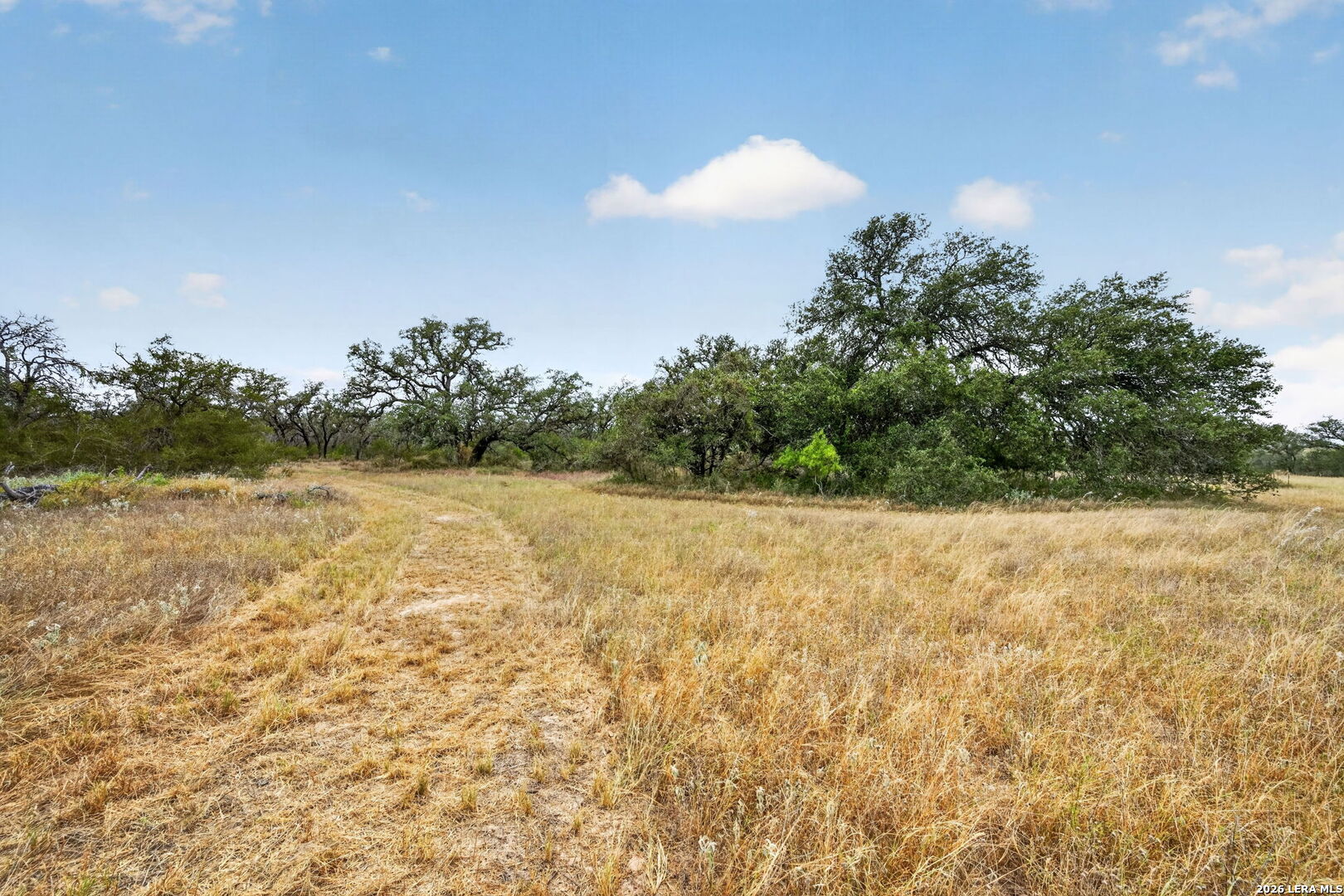 8651 W Fm 476 Poteet TX 78065
