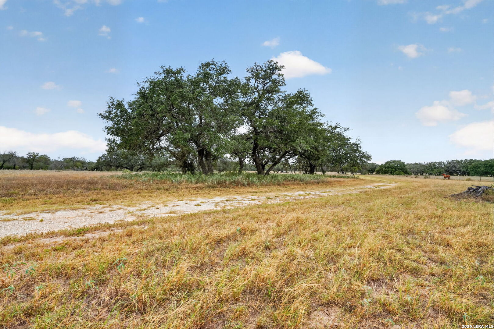 8651 W Fm 476 Poteet TX 78065