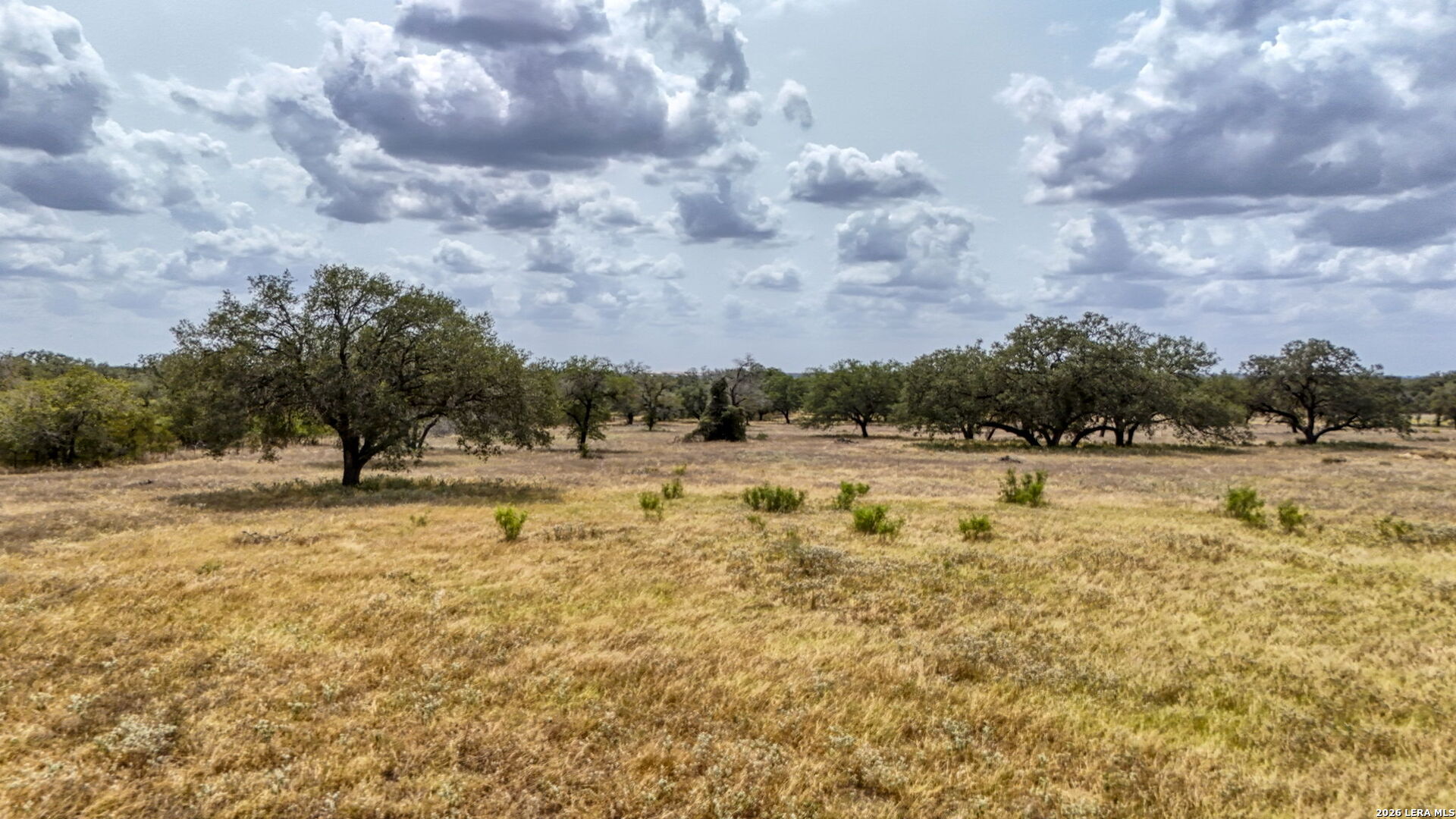 8651 W Fm 476 Poteet TX 78065