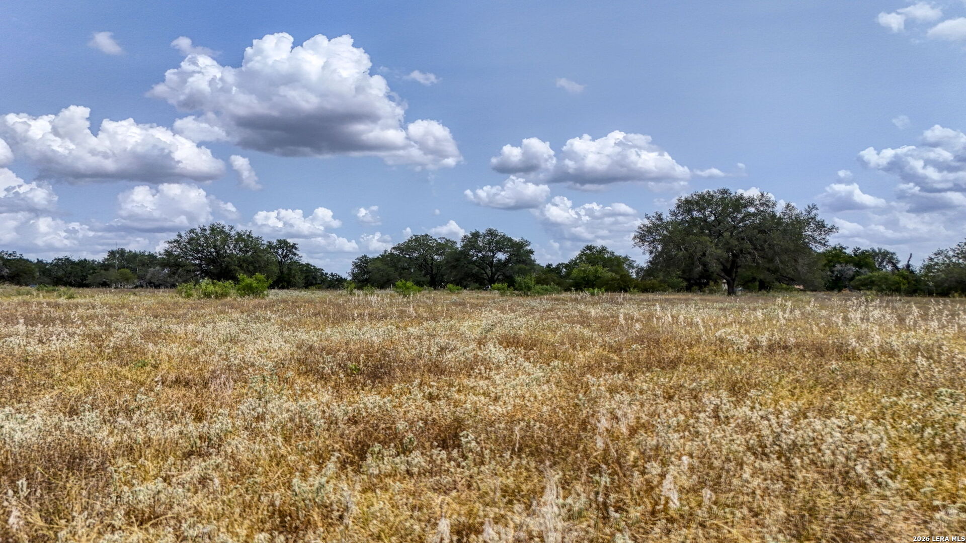 8651 W Fm 476 Poteet TX 78065