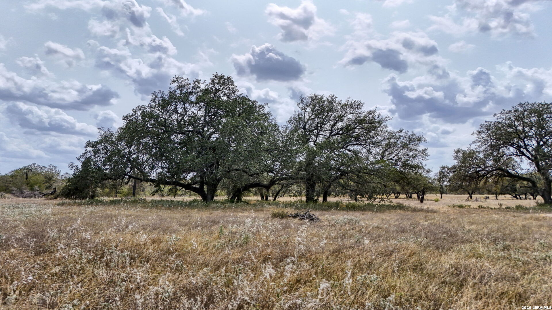 8651 W Fm 476 Poteet TX 78065
