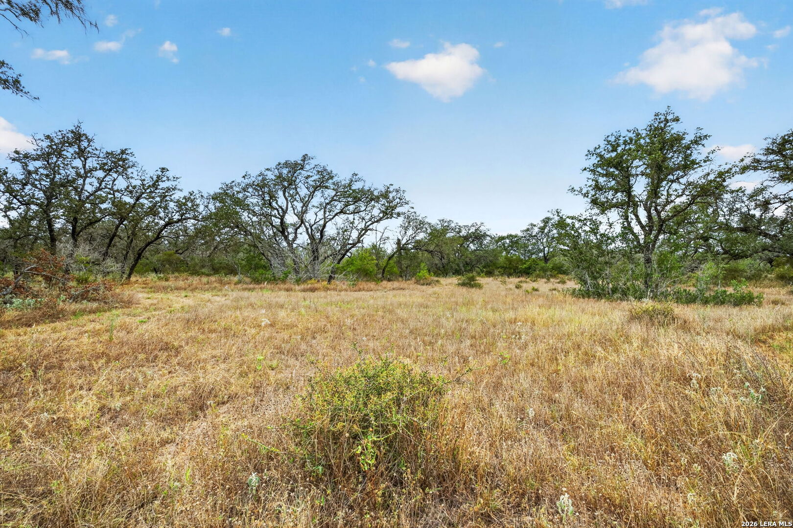 8651 W Fm 476 Poteet TX 78065