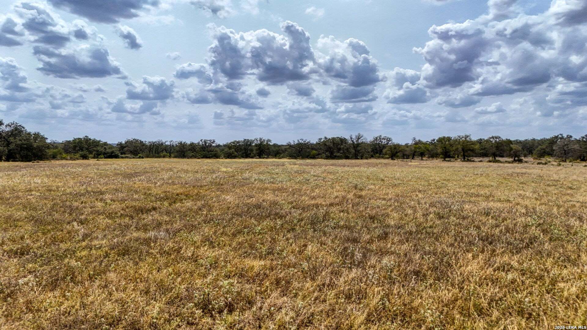 8651 W Fm 476 Poteet TX 78065