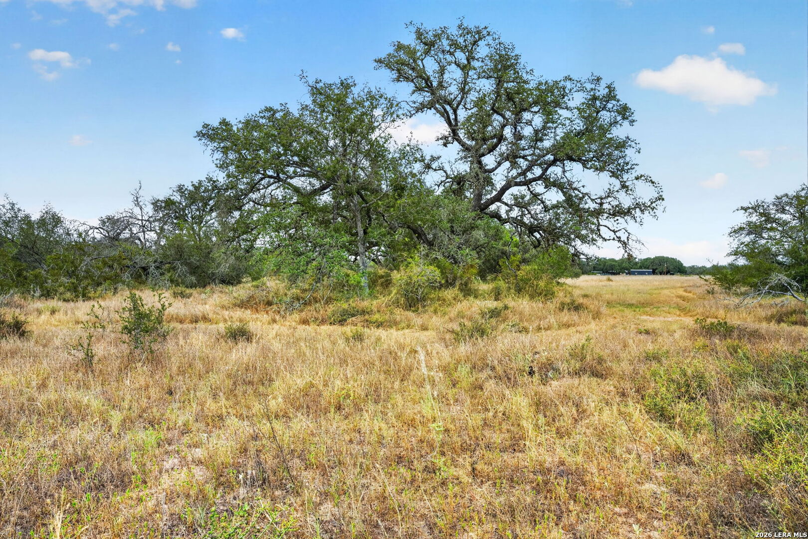 8651 W Fm 476 Poteet TX 78065