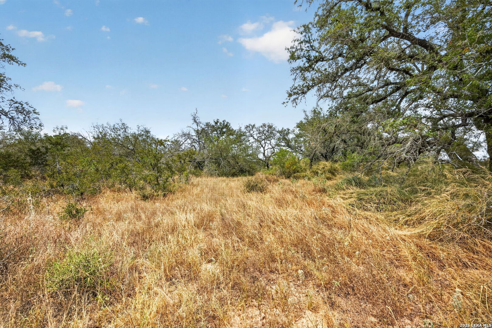 8651 W Fm 476 Poteet TX 78065