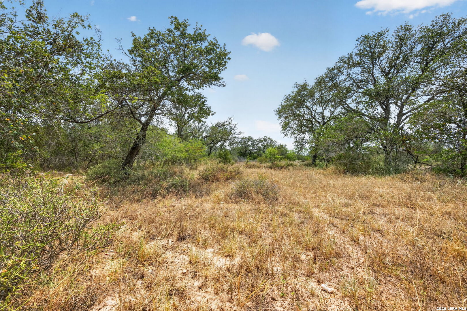 8651 W Fm 476 Poteet TX 78065