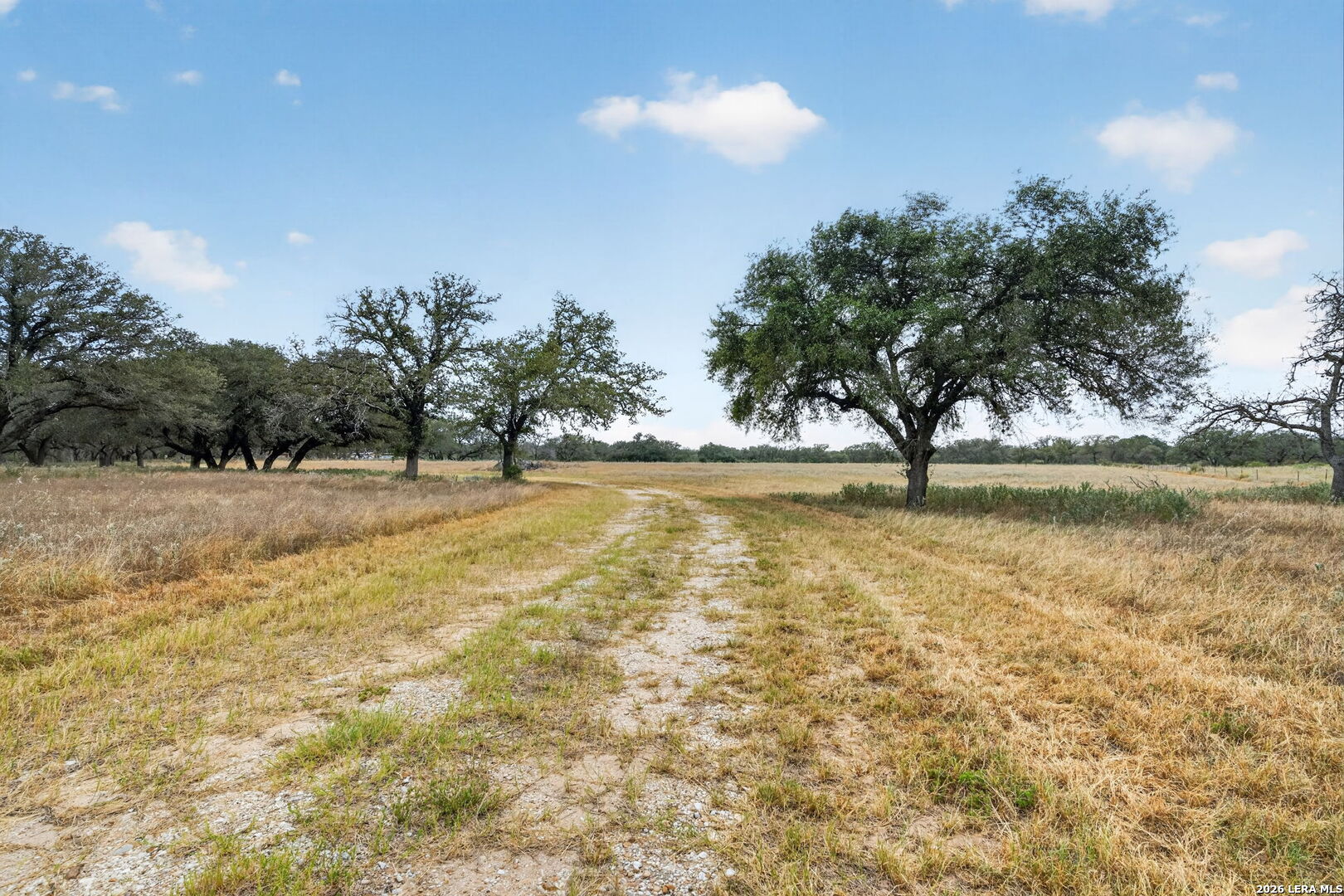 8651 W Fm 476 Poteet TX 78065