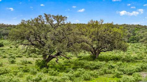 Tbd Fm 1796 Dhanis TX 78850
