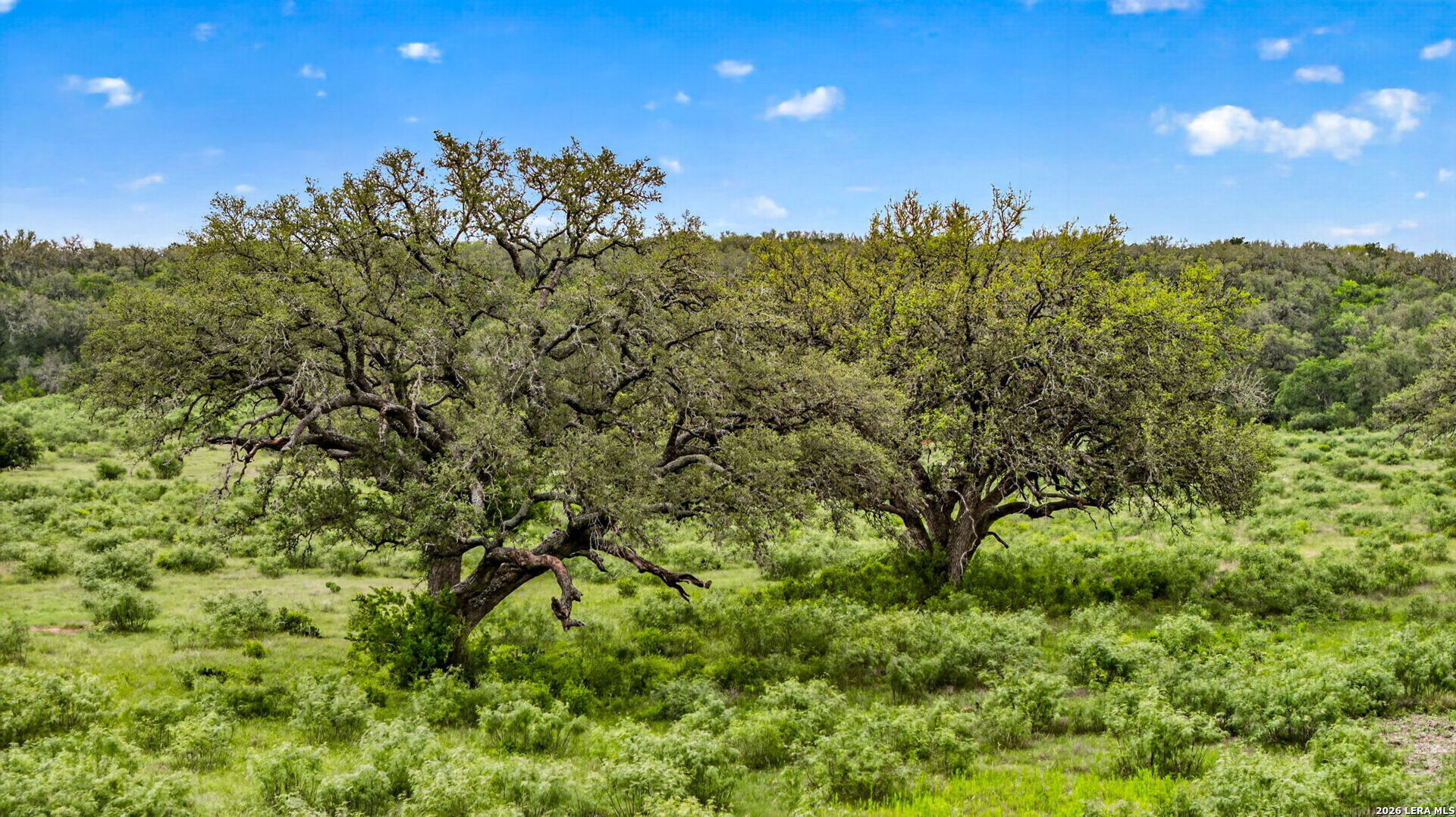 Tbd Fm 1796 Dhanis TX 78850