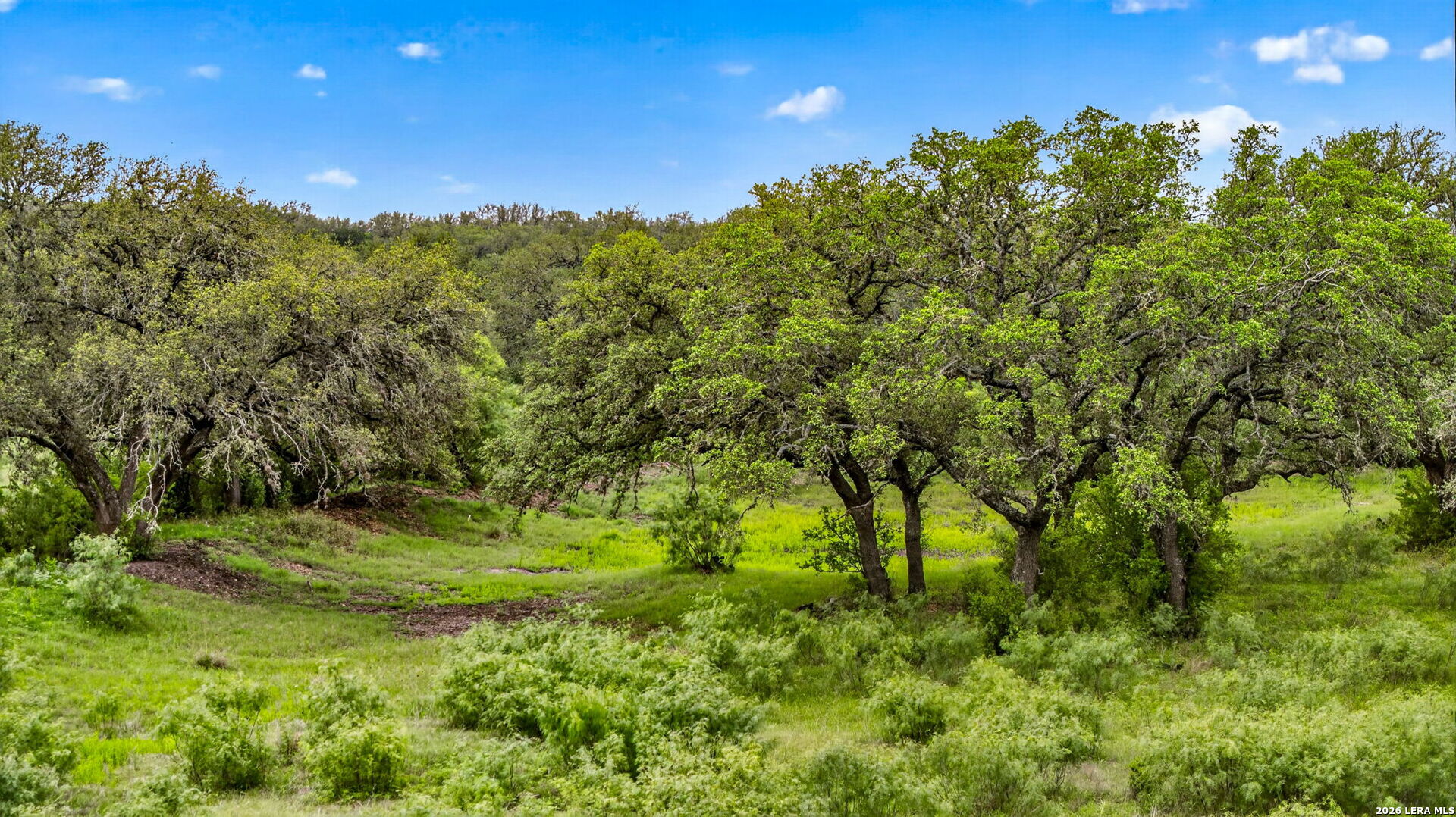 Tbd Fm 1796 Dhanis TX 78850