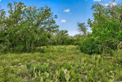 Tbd Fm 1796 Dhanis TX 78850