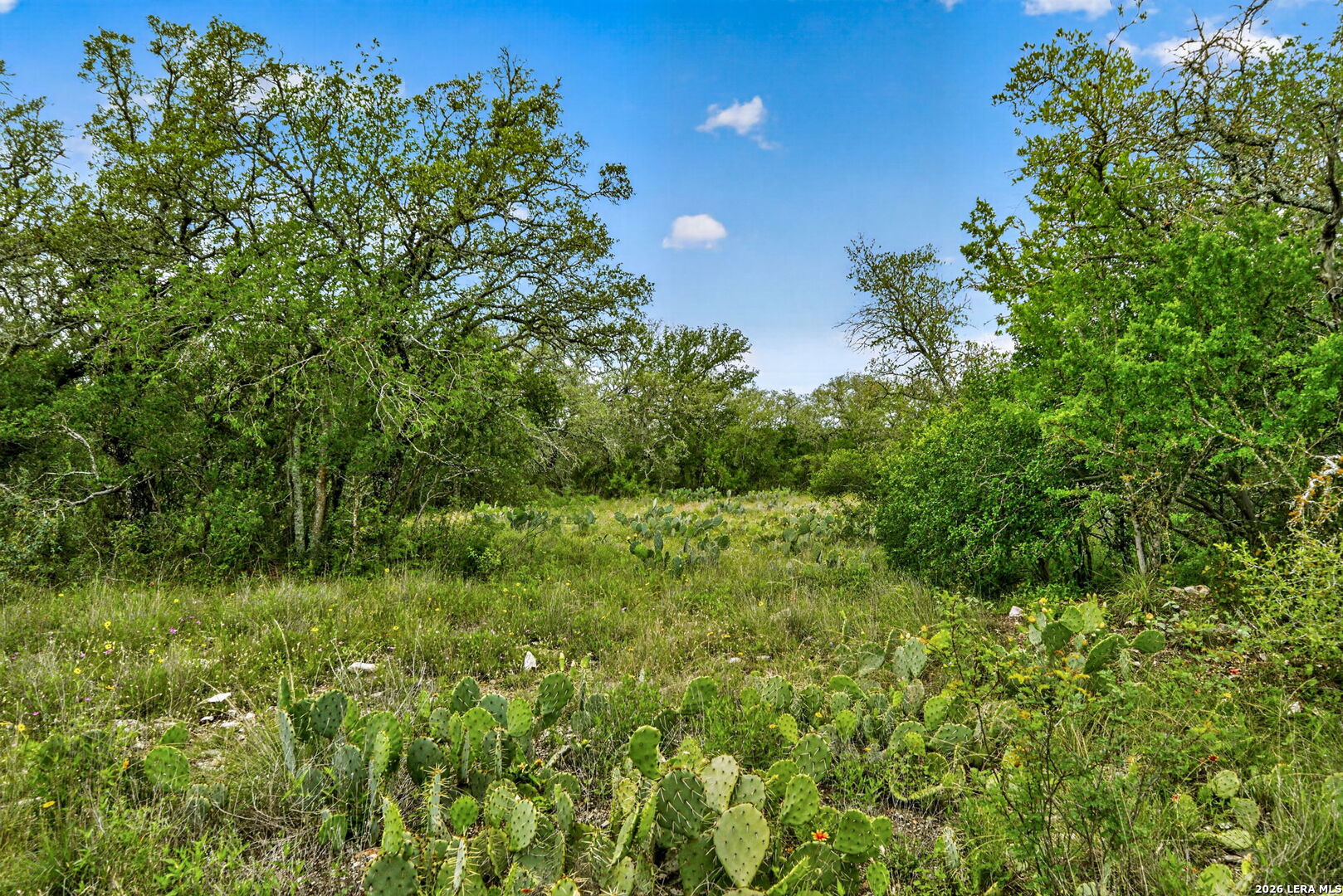 Tbd Fm 1796 Dhanis TX 78850