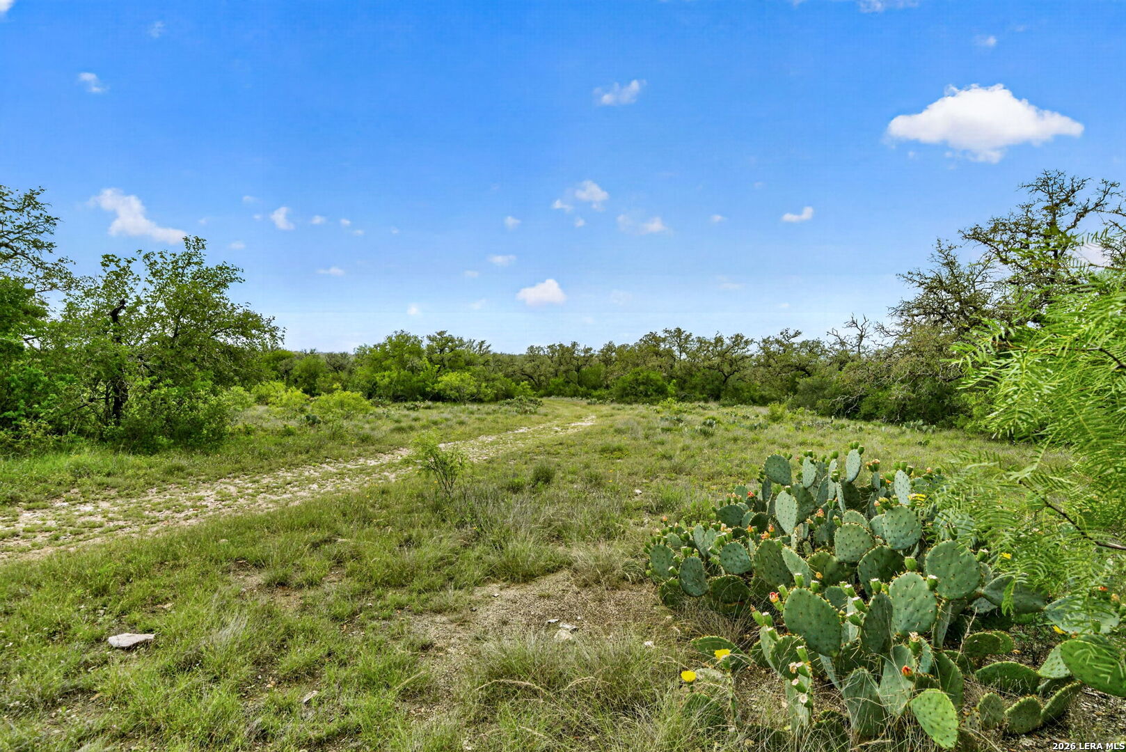 Tbd Fm 1796 Dhanis TX 78850