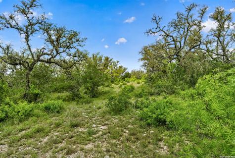 Tbd Fm 1796 Dhanis TX 78850
