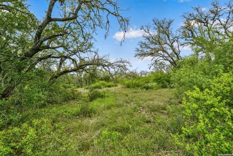 Tbd Fm 1796 Dhanis TX 78850