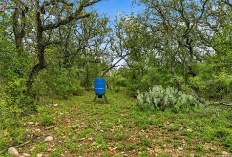 Tbd Fm 1796 Dhanis TX 78850