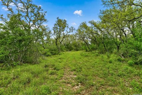Tbd Fm 1796 Dhanis TX 78850