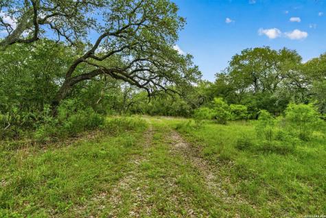 Tbd Fm 1796 Dhanis TX 78850