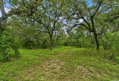 Tbd Fm 1796 Dhanis TX 78850