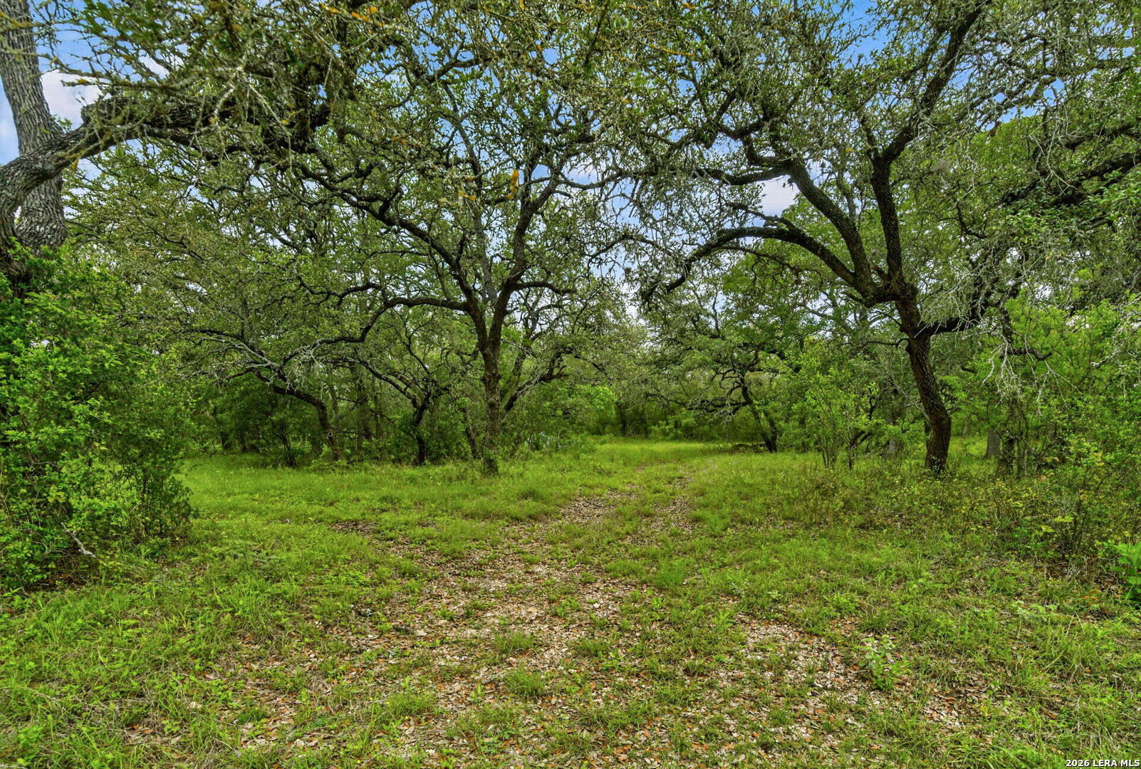 Tbd Fm 1796 Dhanis TX 78850