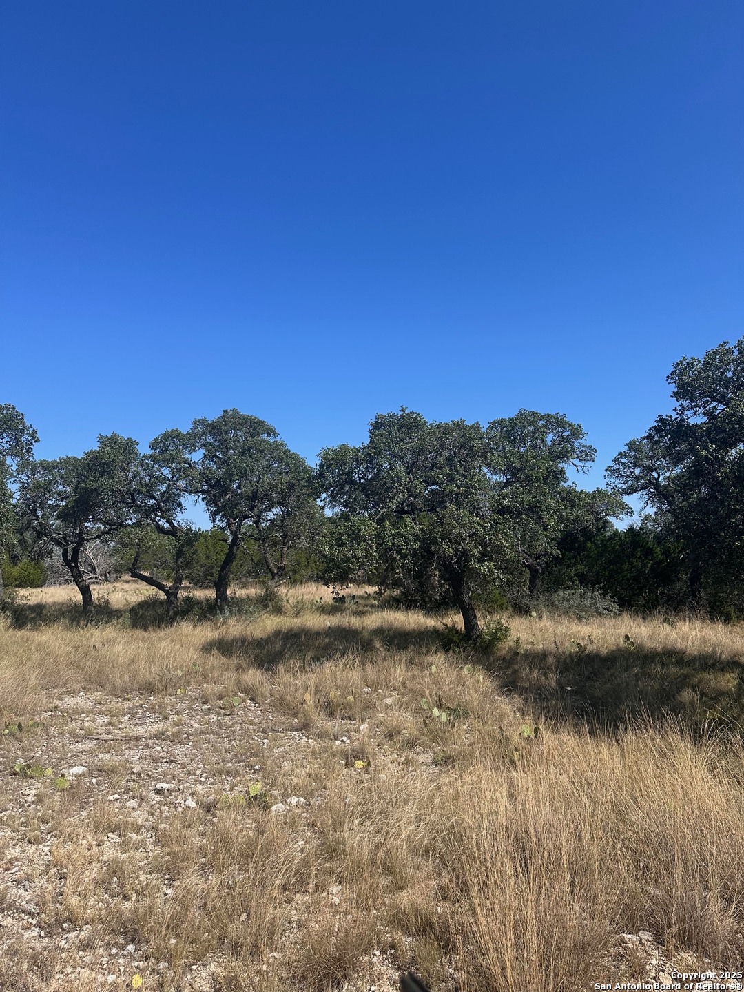 Lot 5 Seven Springs Drive Junction TX 76849