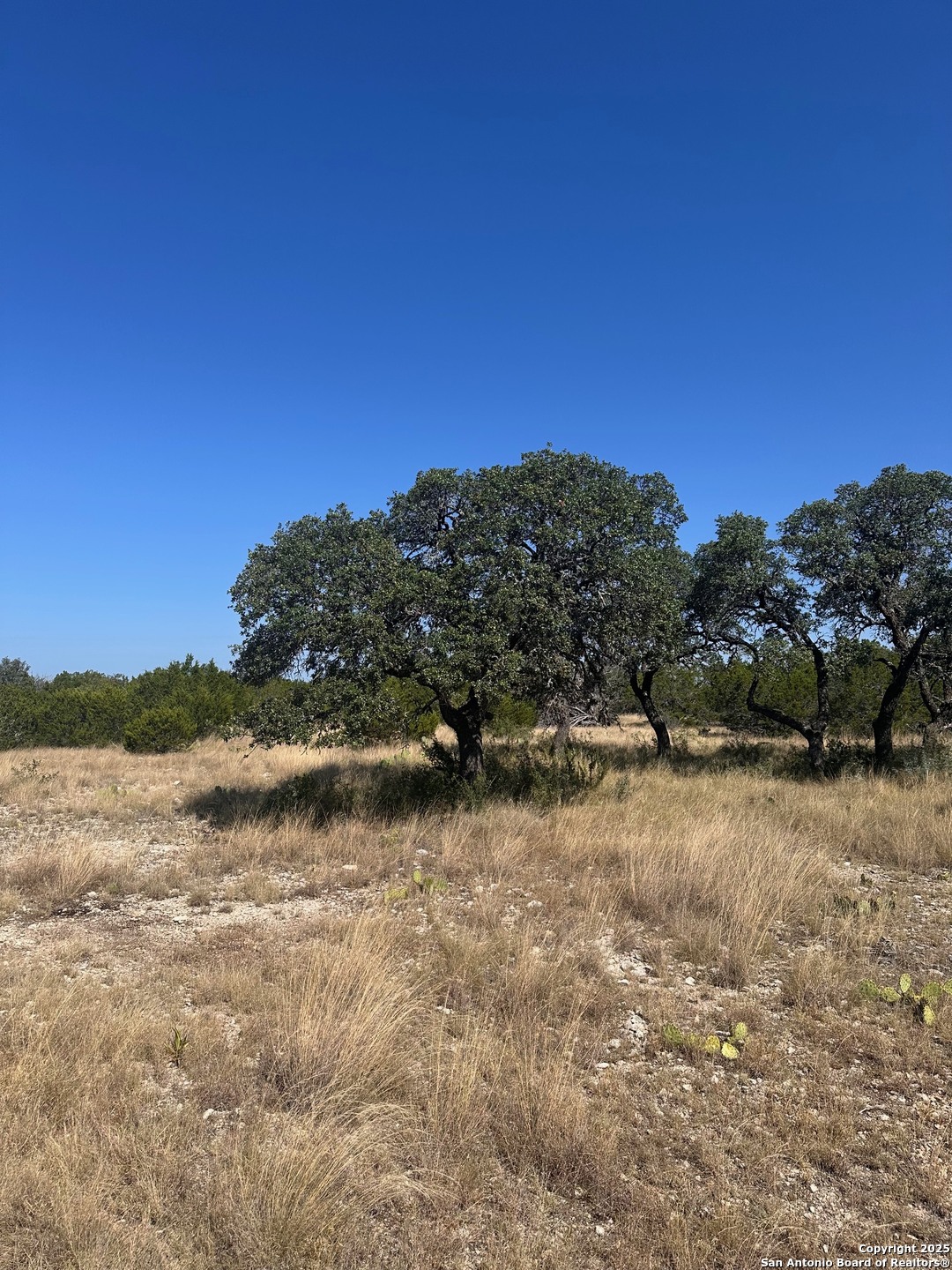 Lot 5 Seven Springs Drive Junction TX 76849