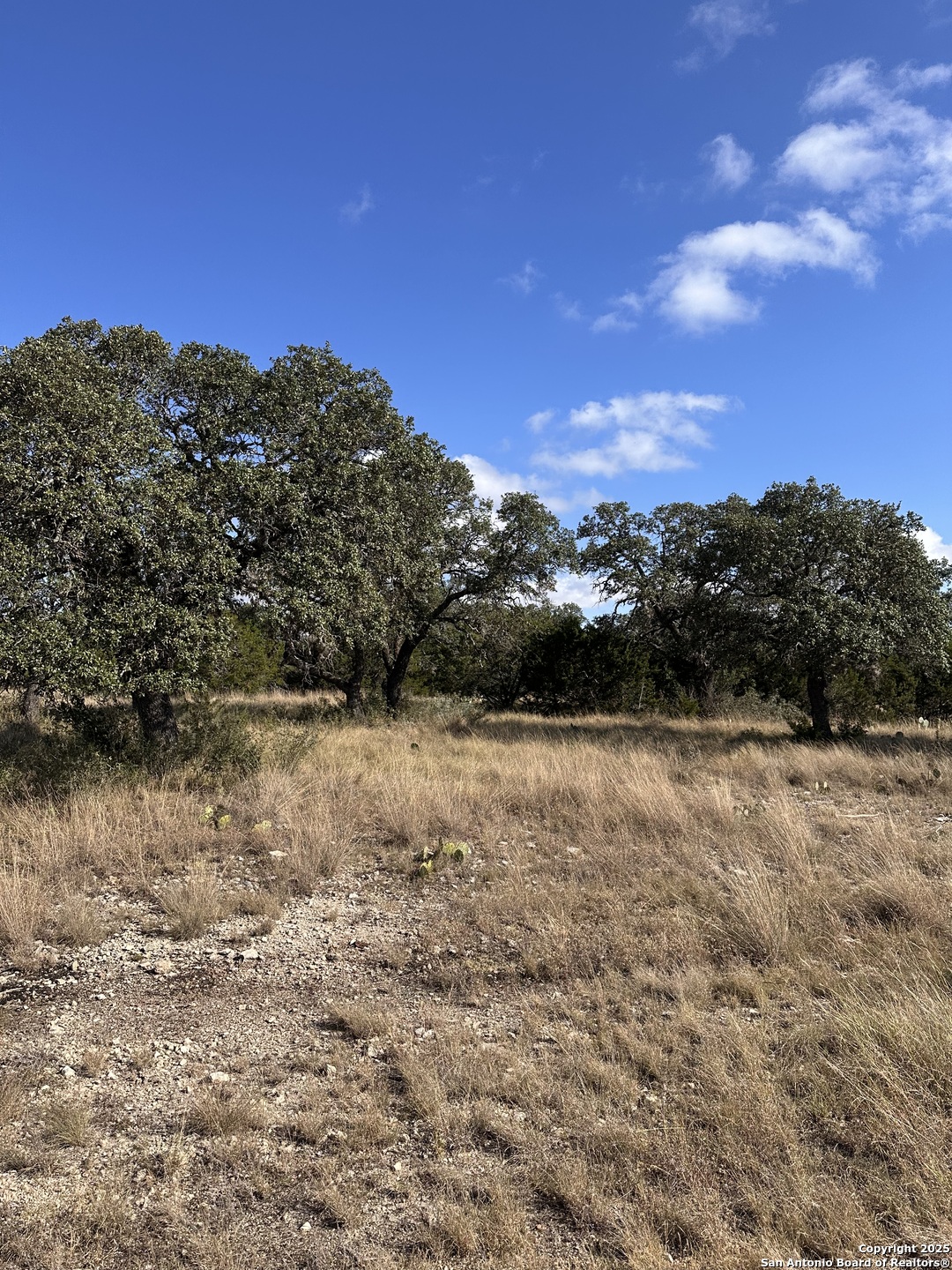 Lot 5 Seven Springs Drive Junction TX 76849