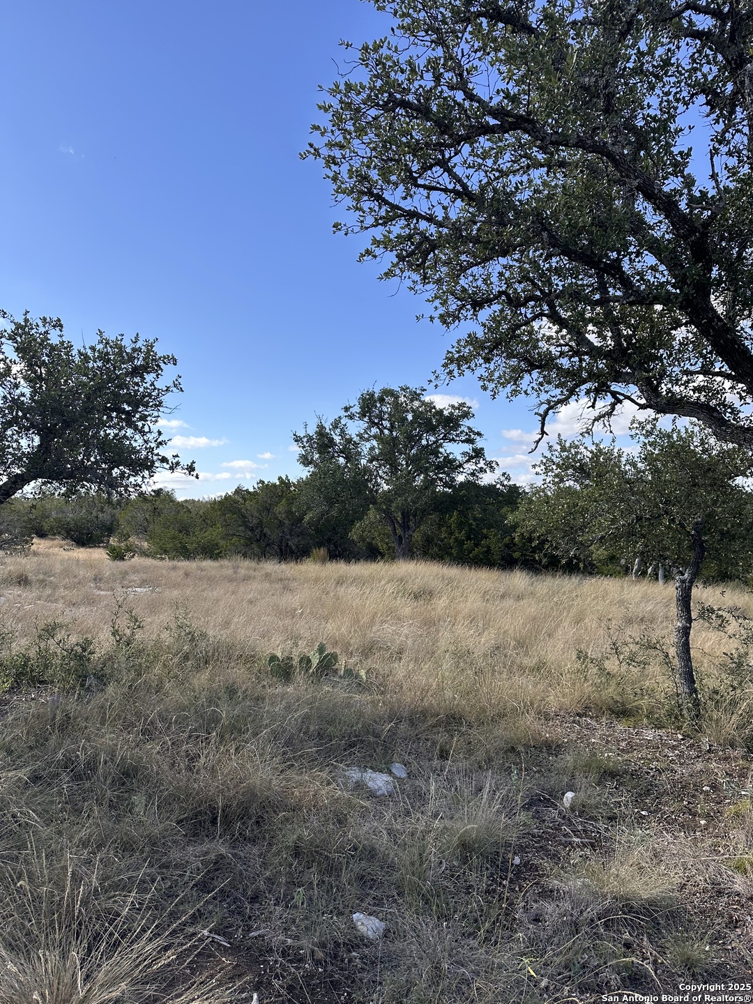 Lot 5 Seven Springs Drive Junction TX 76849