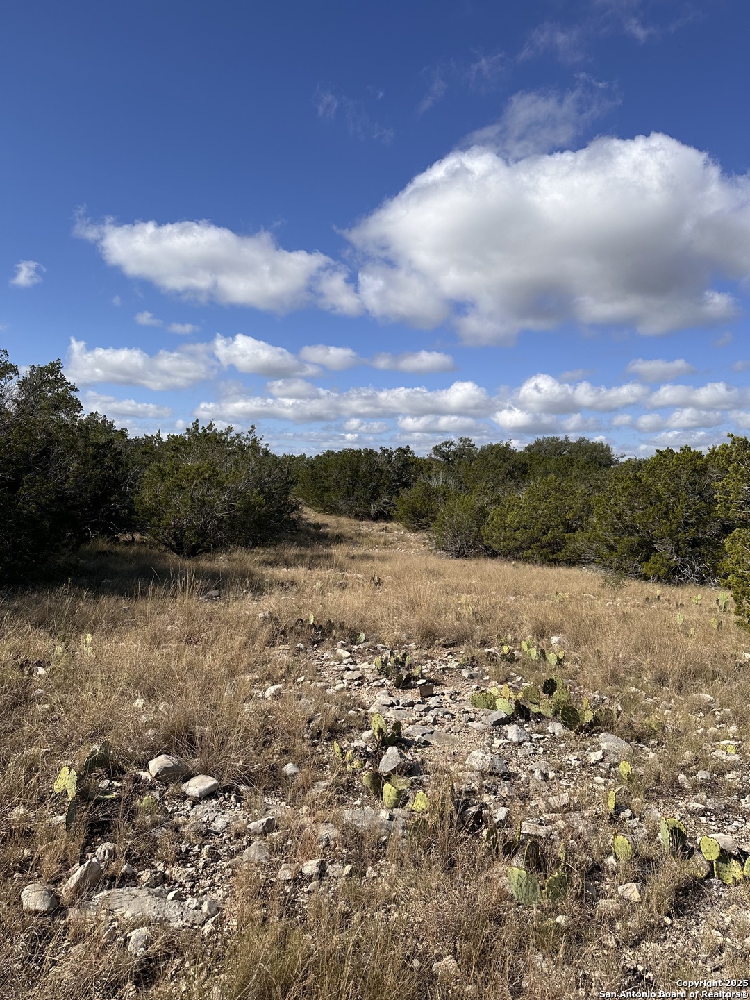 Lot 5 Seven Springs Drive Junction TX 76849